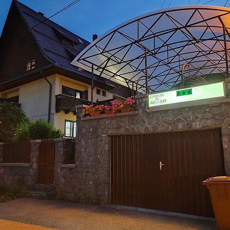 Casa Mina 호텔 부스테니 외부 사진